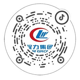 程力汽車抖音號